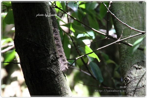 IMG_2272.JPG IMG_2272.JPG