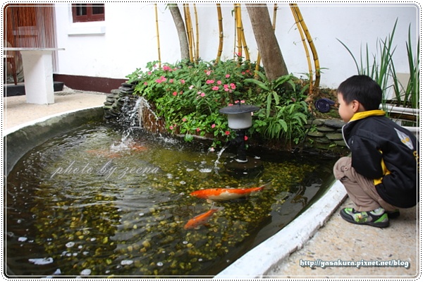 IMG_9000.JPG IMG_9000.JPG