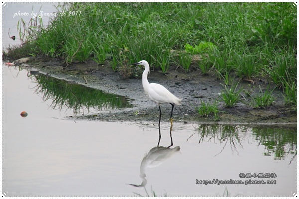 IMG_0875.JPG IMG_0875.JPG