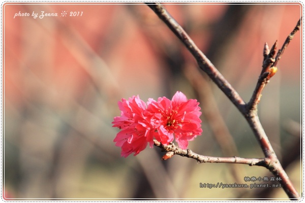 IMG_0141.JPG IMG_0141.JPG