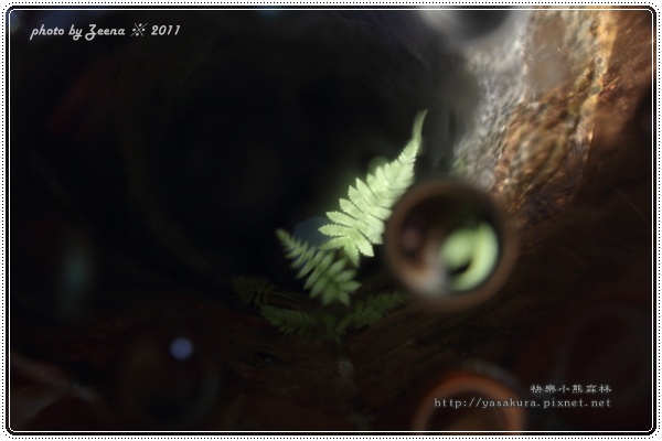 IMG_1423.JPG IMG_1423.JPG