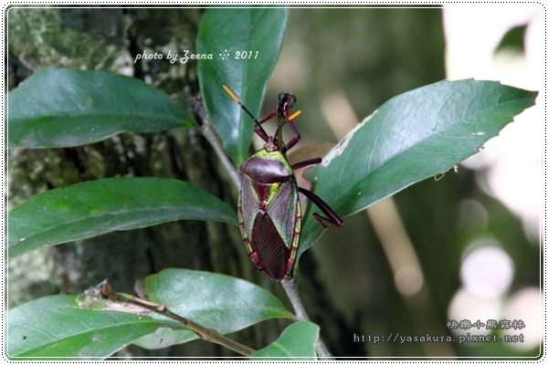 IMG_2270.JPG IMG_2270.JPG