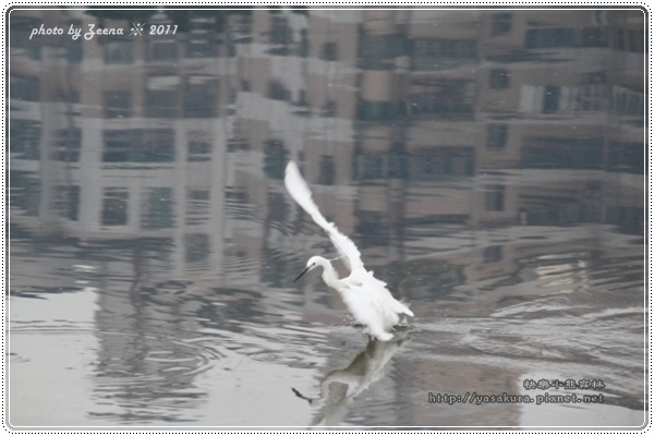 IMG_0880.JPG IMG_0880.JPG