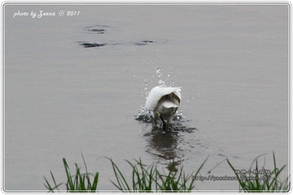 IMG_0884.JPG IMG_0884.JPG