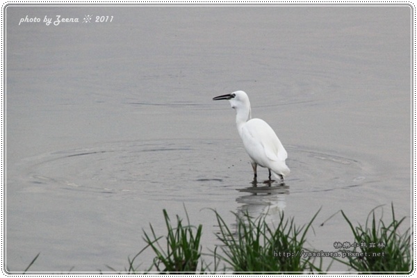 IMG_0887.JPG IMG_0887.JPG