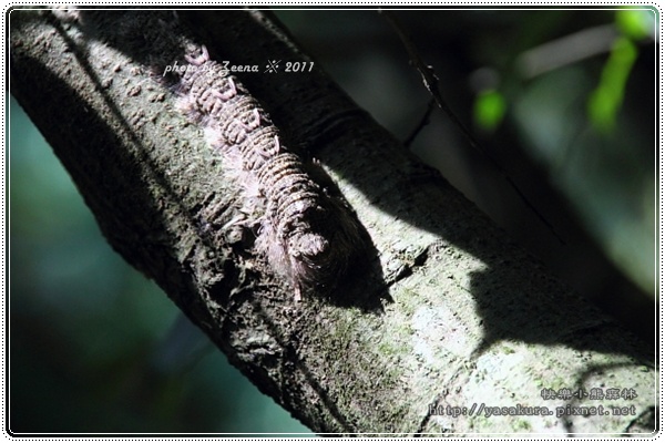 IMG_2267.JPG IMG_2267.JPG