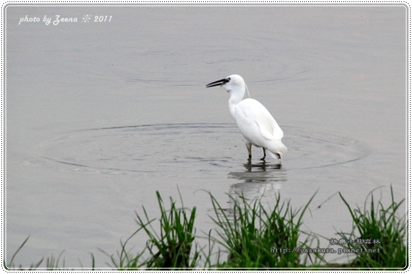 IMG_0886.JPG IMG_0886.JPG