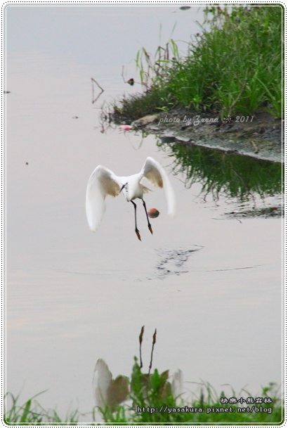 IMG_0877.JPG IMG_0877.JPG