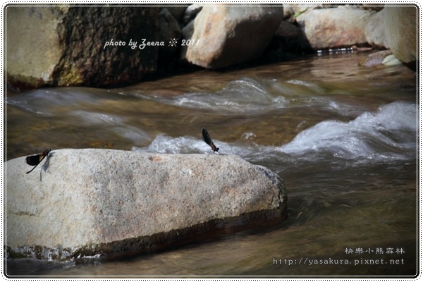 IMG_2320.JPG IMG_2320.JPG