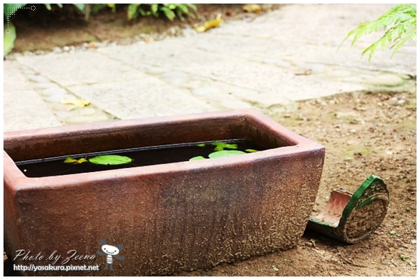 IMG_6076.JPG IMG_6076.JPG