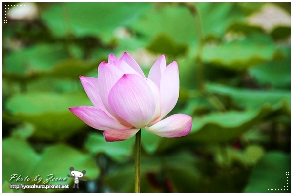 IMG_6060.JPG IMG_6060.JPG