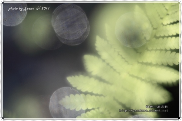 IMG_1420.JPG IMG_1420.JPG