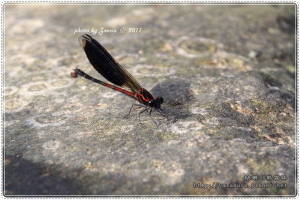 IMG_2287.JPG IMG_2287.JPG