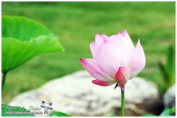 IMG_6061.JPG IMG_6061.JPG