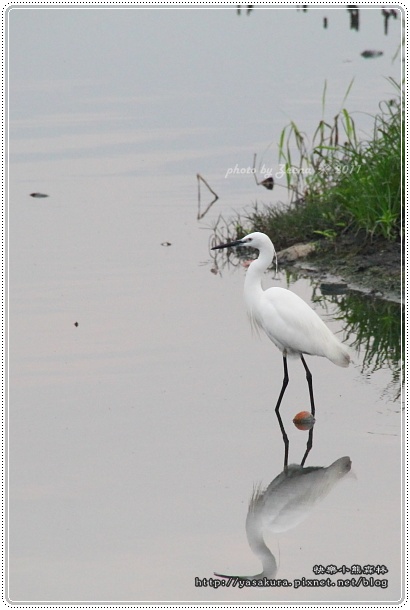 IMG_0876.JPG IMG_0876.JPG