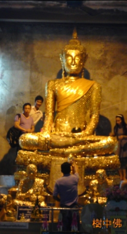 樹中佛3.jpg 樹中佛3.jpg