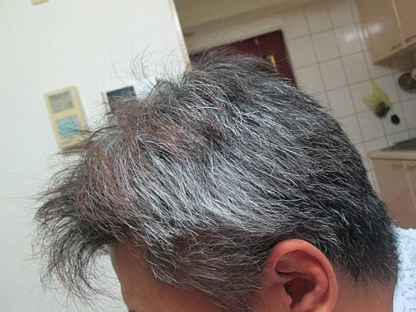 IMG_4065 IMG_4065