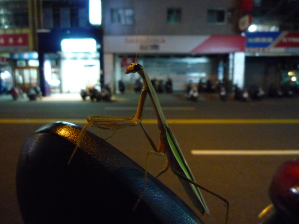 P1020312.JPG P1020312.JPG