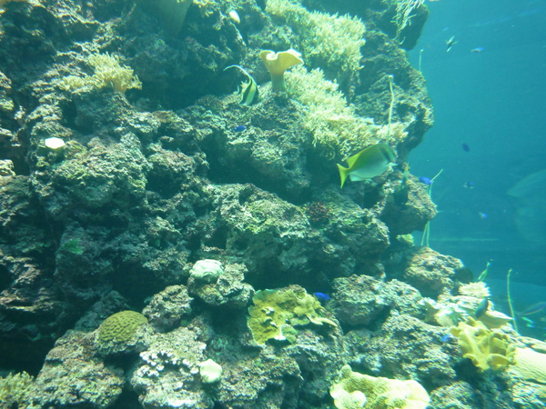 P1020526.jpg P1020526.jpg