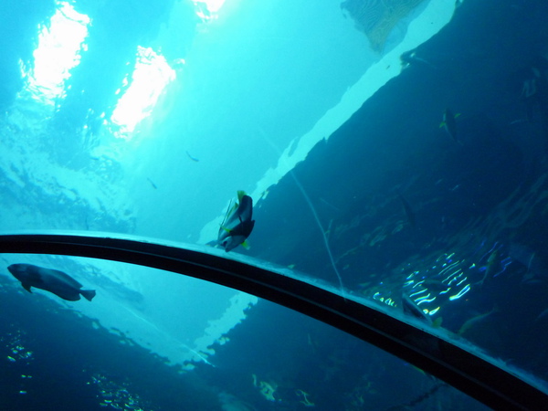 P1020533.jpg P1020533.jpg