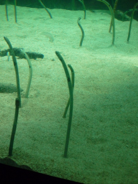 P1020542.jpg P1020542.jpg