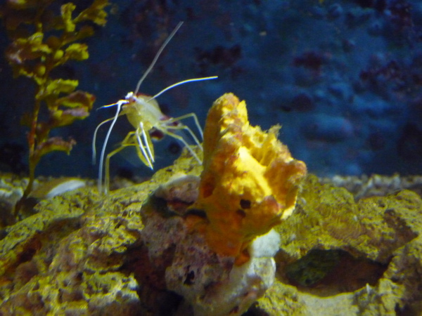 P1020549.jpg P1020549.jpg