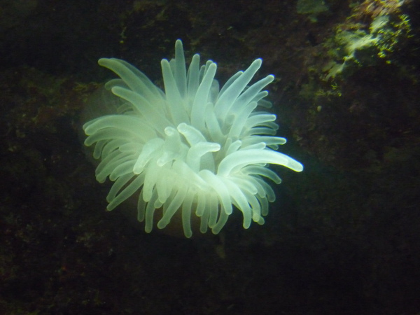 P1020552.jpg P1020552.jpg