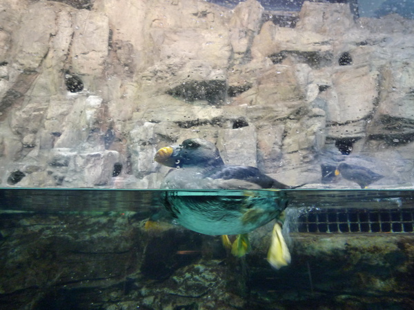 P1020577.jpg P1020577.jpg