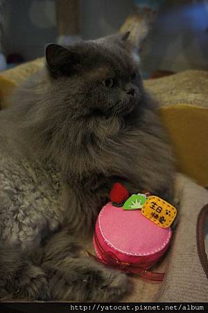 調整大小DSC05796 調整大小DSC05796