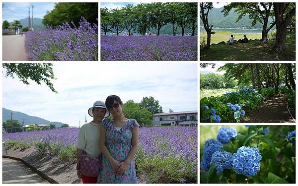 20130710_東京富士山之旅5