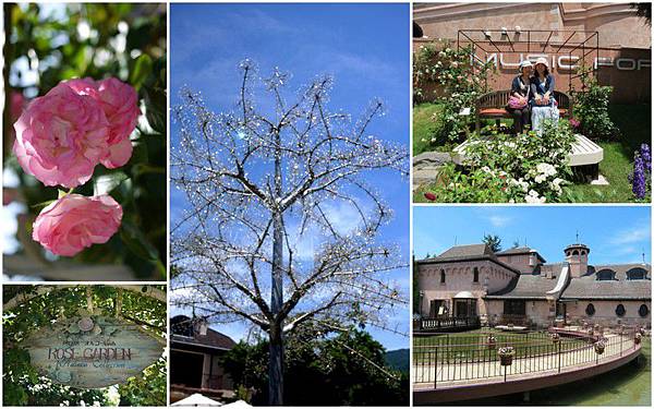 20130710_東京富士山之旅18