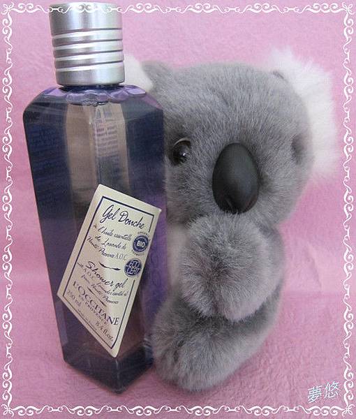 1186549169 1186549169