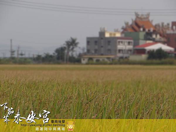 後壁下茄苳泰安宮 後壁下茄苳泰安宮