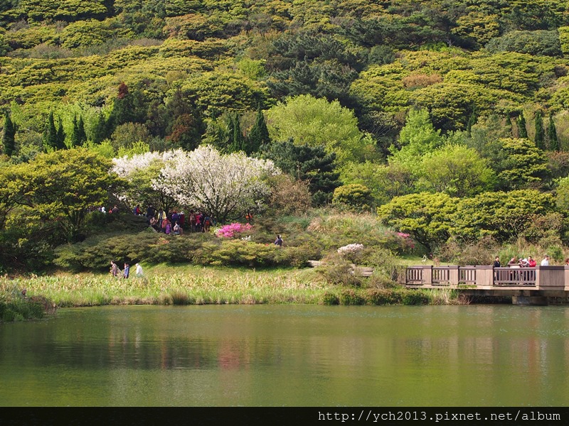 2014三月中大屯自然公園 (1).JPG 2014三月中大屯自然公園 (1).JPG