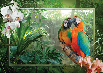 Cozy Macaws.jpg Cozy Macaws.jpg