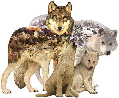 Wolf Song.jpg Wolf Song.jpg