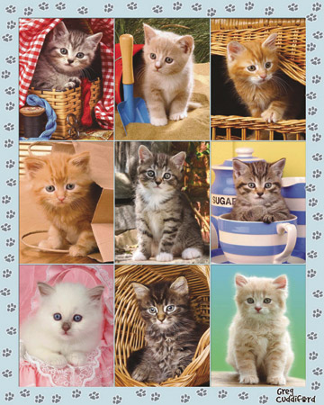 Peek-A-Boo Kittens Multi-picture.jpg Peek-A-Boo Kittens Multi-picture.jpg