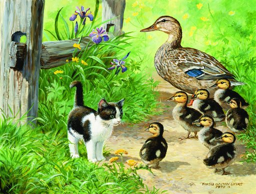 Duck Inspector.jpg Duck Inspector.jpg