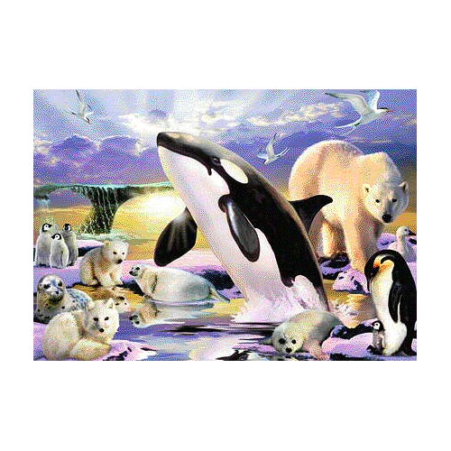 Polar Kingdom.jpg Polar Kingdom.jpg