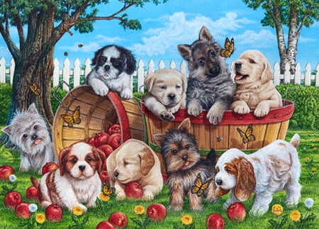Playful Pups.gif Playful Pups.gif