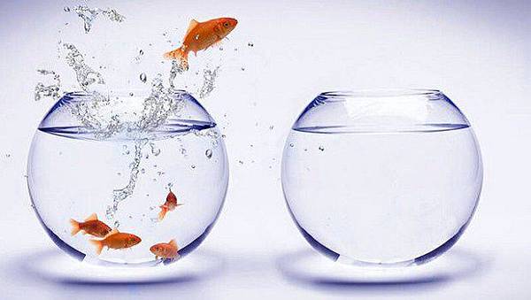 b8e027252625bc3a992973bfdc0e74d0 b8e027252625bc3a992973bfdc0e74d0