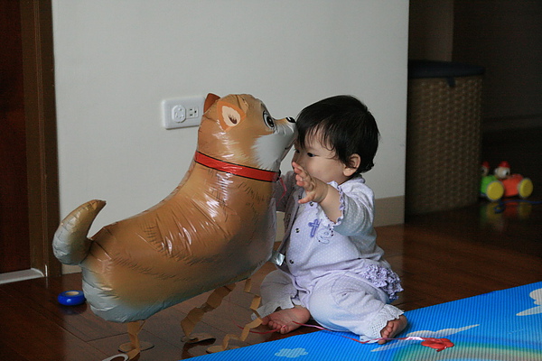IMG_8065_resize.JPG IMG_8065_resize.JPG