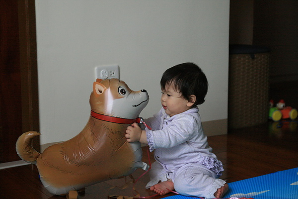 IMG_8066_resize.JPG IMG_8066_resize.JPG