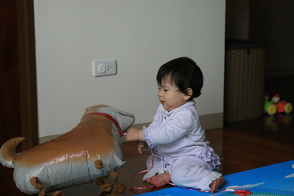IMG_8067_resize.JPG IMG_8067_resize.JPG