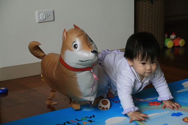 IMG_8068_resize.JPG IMG_8068_resize.JPG