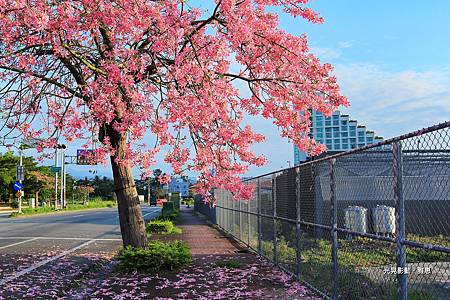 IMG_5485-1-1 IMG_5485-1-1