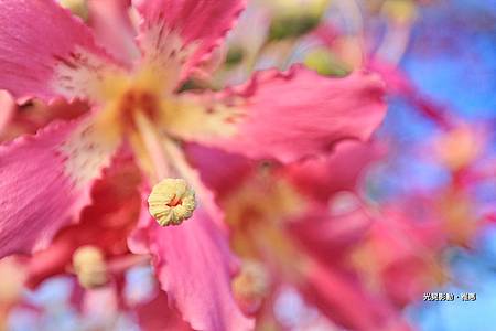 IMG_5476-1-1 IMG_5476-1-1