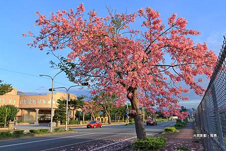 IMG_5446-1-1 IMG_5446-1-1