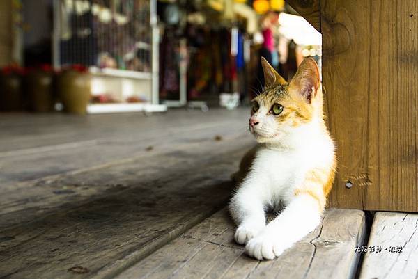 每個人都想要的。。。。。悠閒時刻～～