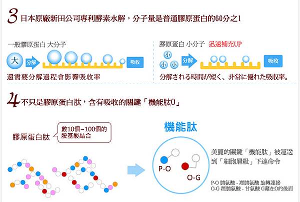 膠原蛋白EDM_05 試用